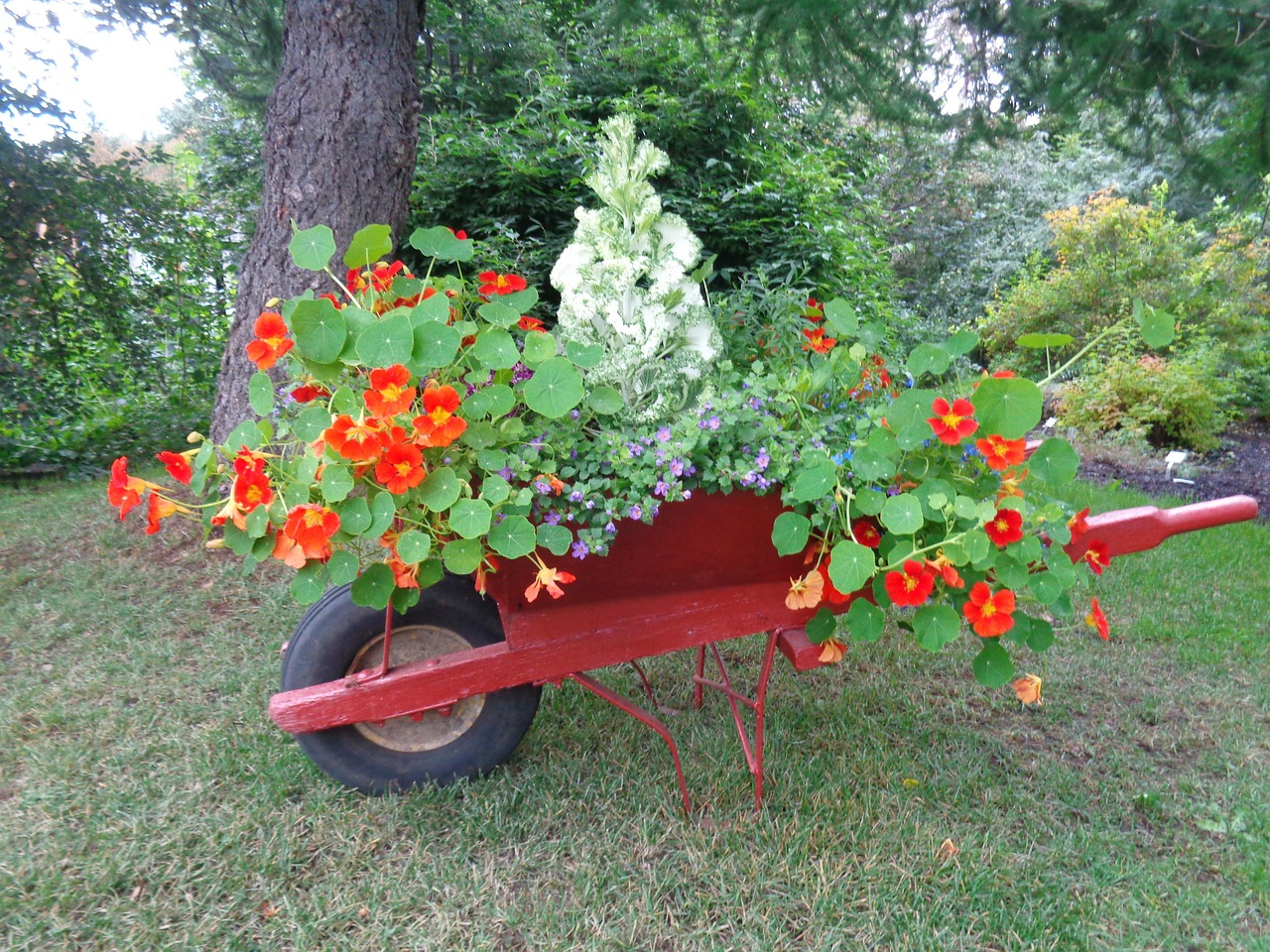 https://cdn.pixabay.com/photo/2017/02/14/18/45/botanical-garden-2066653_1280.jpg