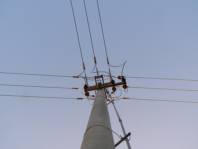 Free Electricity Pole photo and picture