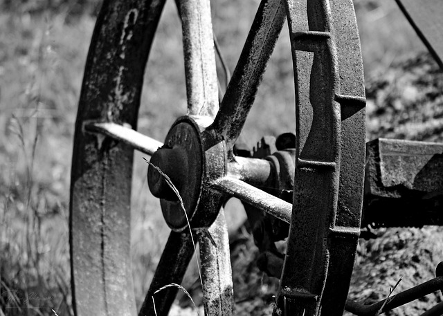 Free Mower Wheel photo and picture