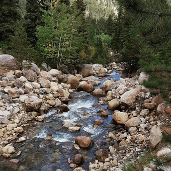 Free Stream Brook photo and picture
