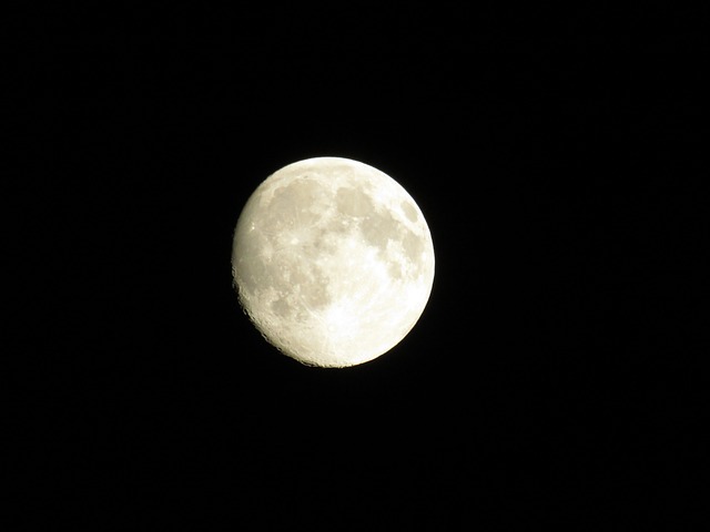 Free Moon Night photo and picture