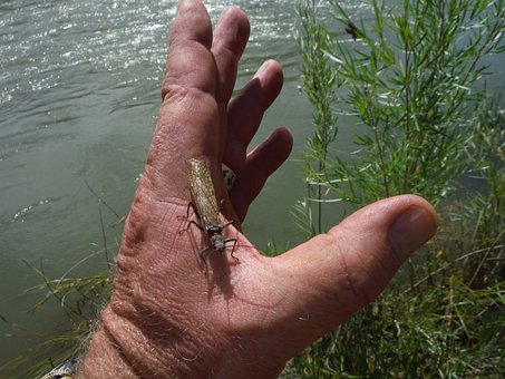Free Fishing River photo and picture