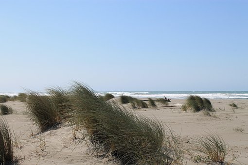 Free Beach Sea Shore photo and picture