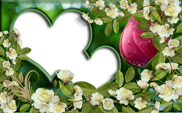 Valentine'S Day, Photoshop, Probă