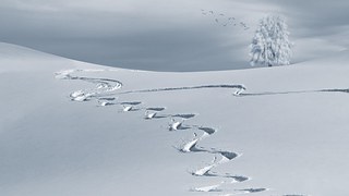 Lumi Talvi Maisema Ilmainen Valokuva Pixabayssa