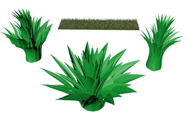 Free plants lawn isolated illustration