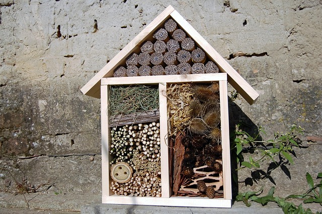 Free Insect Hotel House photo and picture