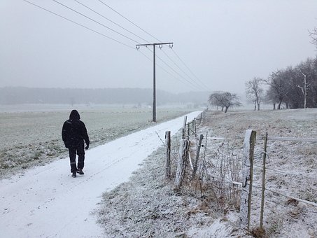 Free Winter Landscape photo and picture