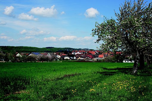 Free Spring Fruit Tree photo and picture