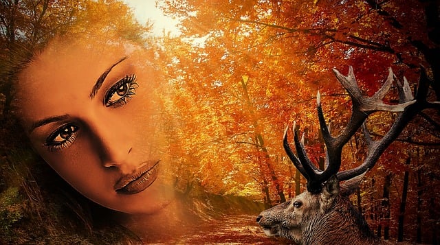 Free forest wild deer illustration