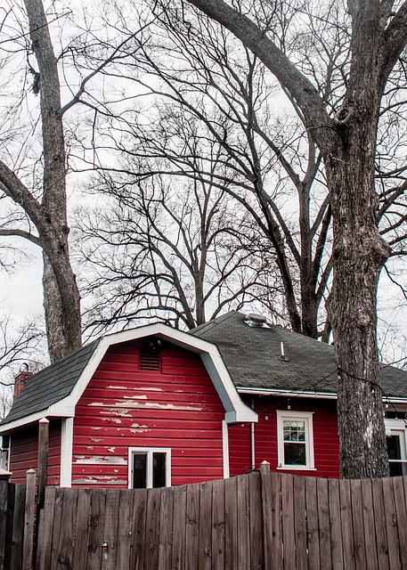 Free Red House Winter photo and picture