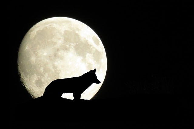 Free mystical moon full moon illustration