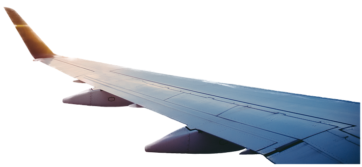 Free Wing Aircraft illustration and picture