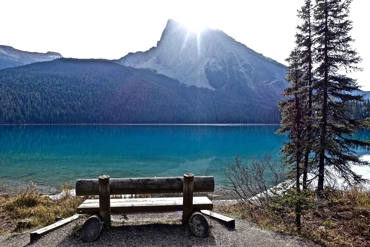 Seat View Seated - Free photo on Pixabay - Pixabay