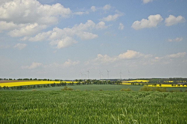 Free Fields Grasslands photo and picture