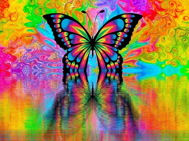 Free butterfly butterfy spring illustration