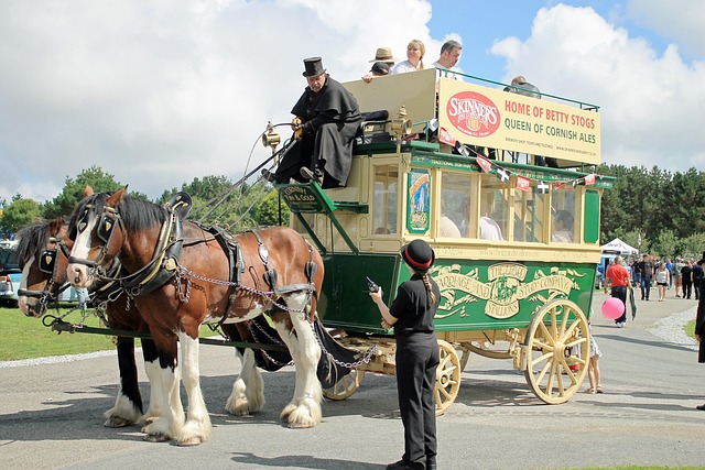 Free Horse Carriage photo and picture