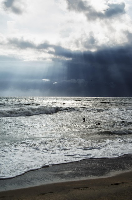Free Beach Wave photo and picture