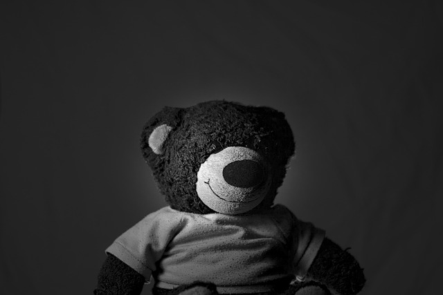 Free Toy Stuffed photo and picture