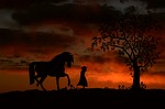 horse, girl, child