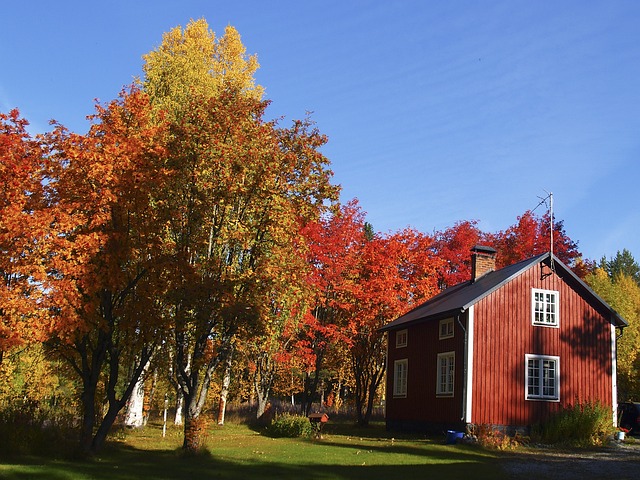 Free Autumn Colors photo and picture