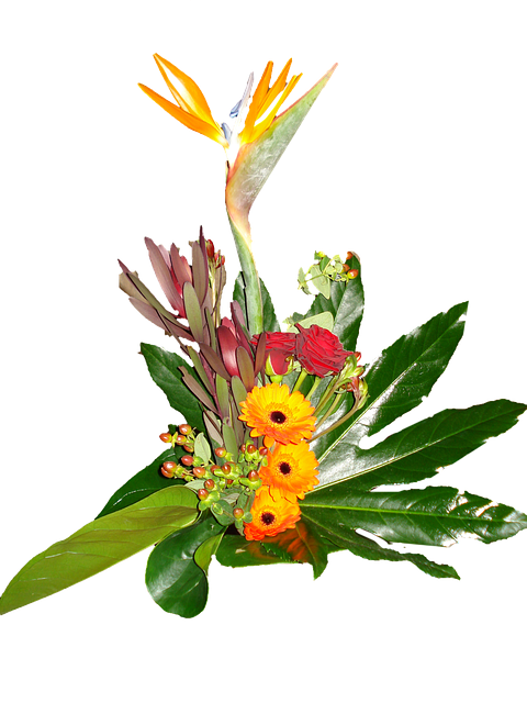 Free Flower Bouquet Gerbera illustration and picture