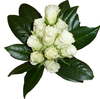 Free Flower Bouquet White illustration and picture