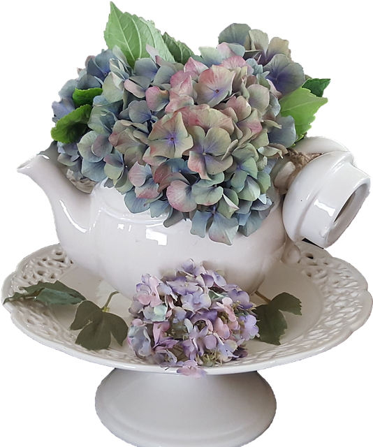 Free Hydrangea Flowers illustration and picture