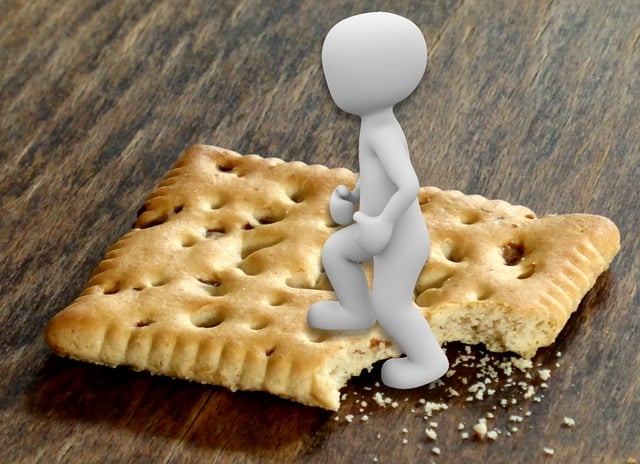 Free symbolic go on the biscuit phrase illustration