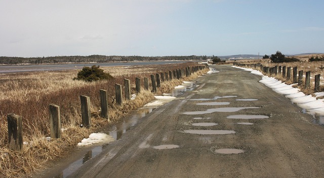 Free Beach Road photo and picture