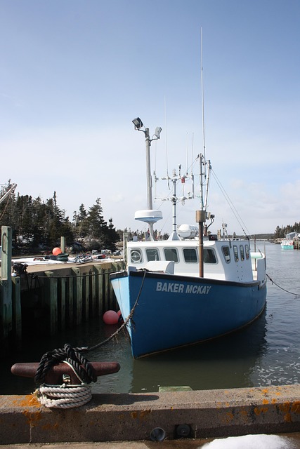 Free Boat Ocean photo and picture