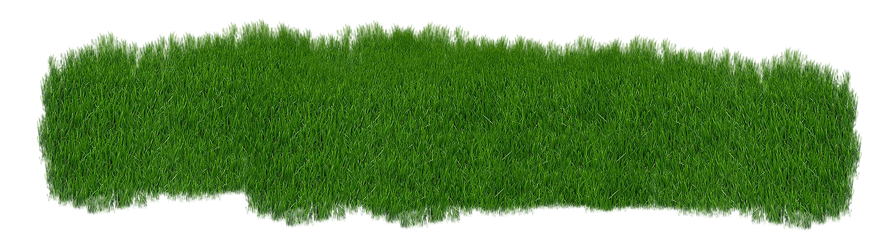 Gras, Grün, Pflanze, Grüne Gras, Natur