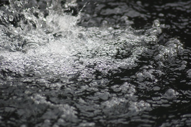 Free Water Gout photo and picture