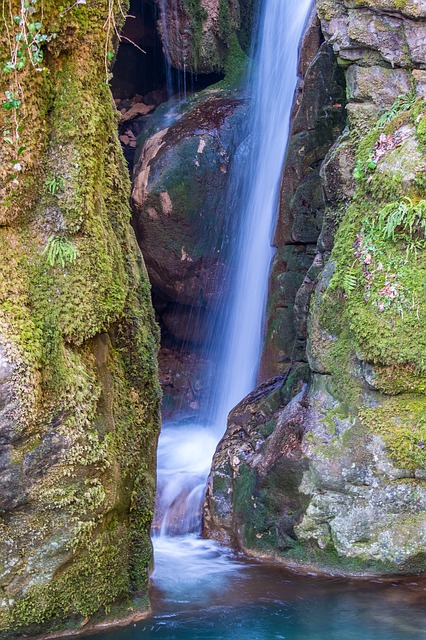Free water waterfall black forest illustration