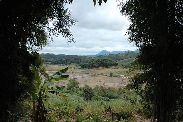 Free Chiangrai Nature photo and picture