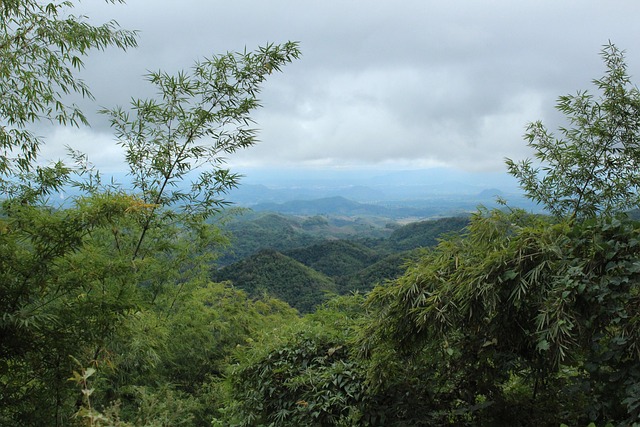 Free Chiangrai Nature photo and picture