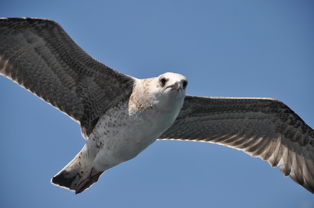 Free Istanbul Estuary photo and picture