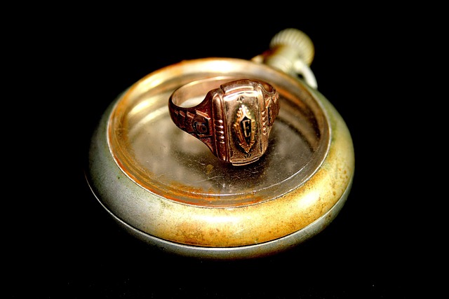 Free Ancient Watch Case photo and picture
