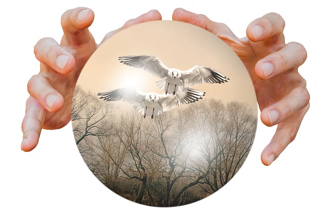 Download free HD stock image of Bullet Hands Free bullet hands birds illustration
