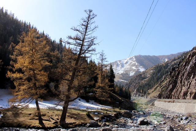 Free Snowfield Loose photo and picture