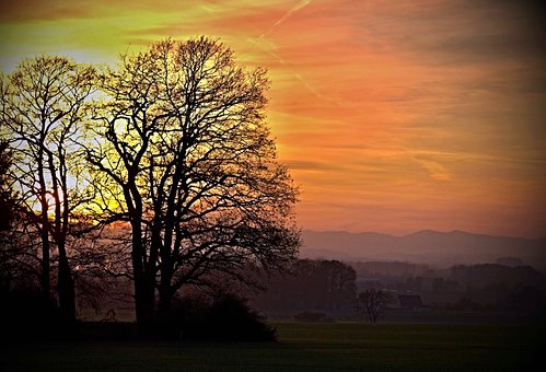 Free Sun Silhouette photo and picture