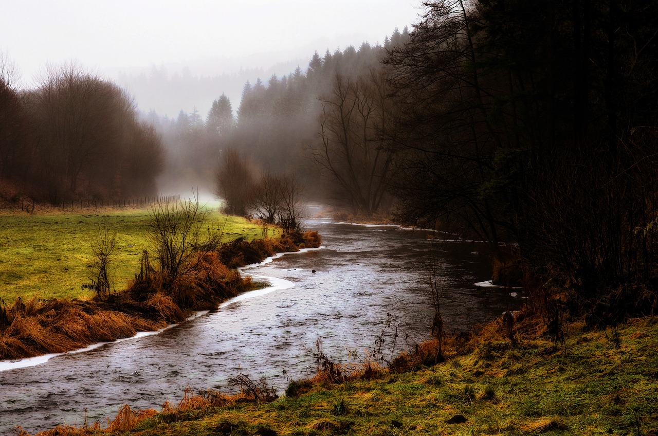 Moist Rivers 80+ Free Misty River & River Images - Pixabay