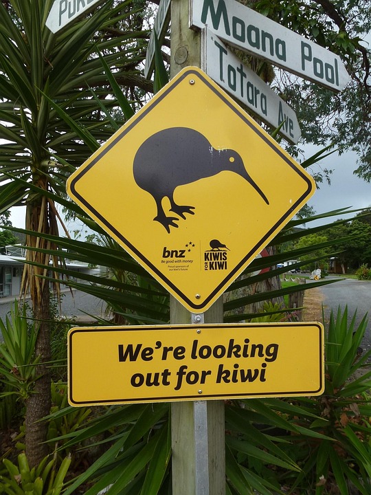 Kiwi Signage Sign Free photo on Pixabay Pixabay