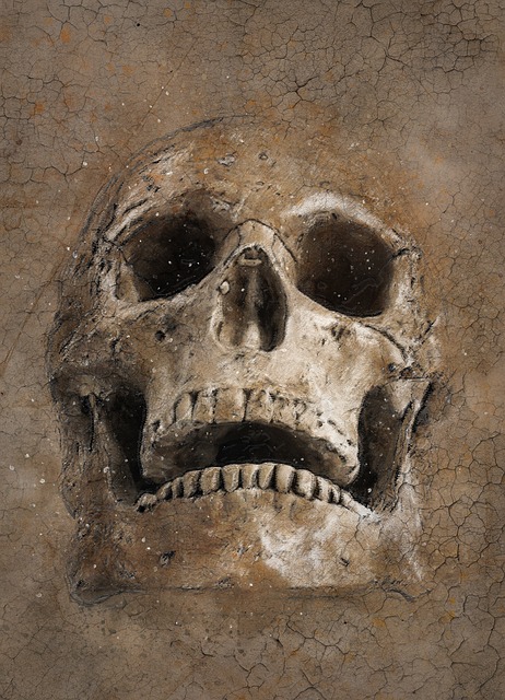 Download free HD stock image of Skull Vintage Free skull vintage texture illustration