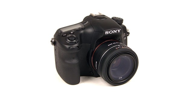 Free sony alpha a68 illustration
