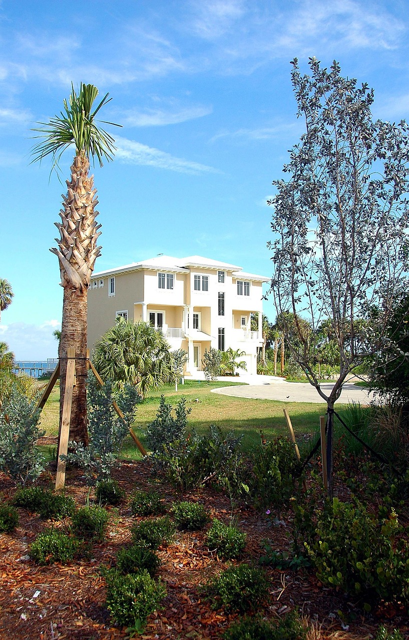 80+ Free Florida Home & Florida Images - Pixabay