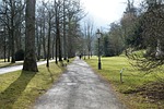 baden baden, park, nature