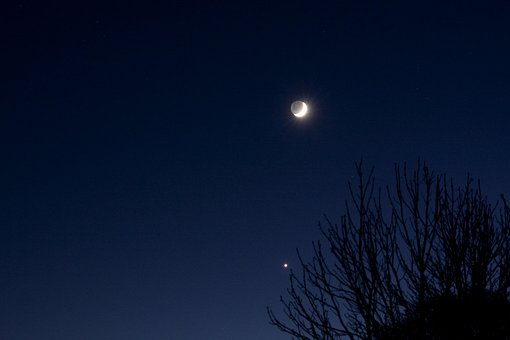 Free Moon Venus photo and picture