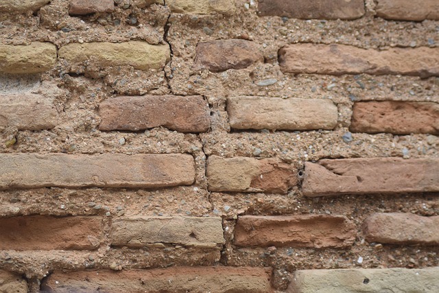 Free Wall Bricks photo and picture