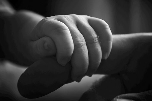 Free Touch Love photo and picture